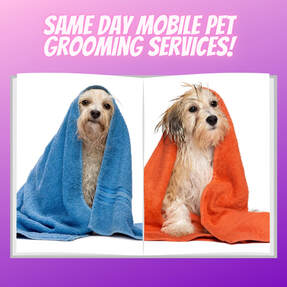 Caro's Mobile Pet Grooming